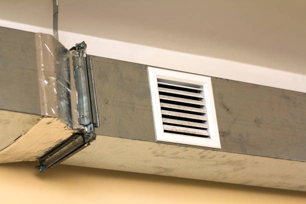 Best Dryer Vent Cleaning Services  in Ferdand, IN